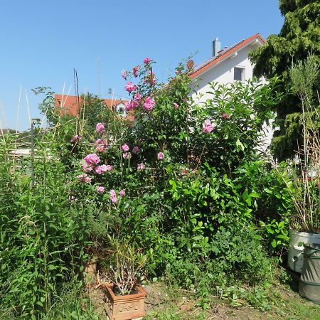 Helles Dachstudio Allershausen Exteriér fotografie